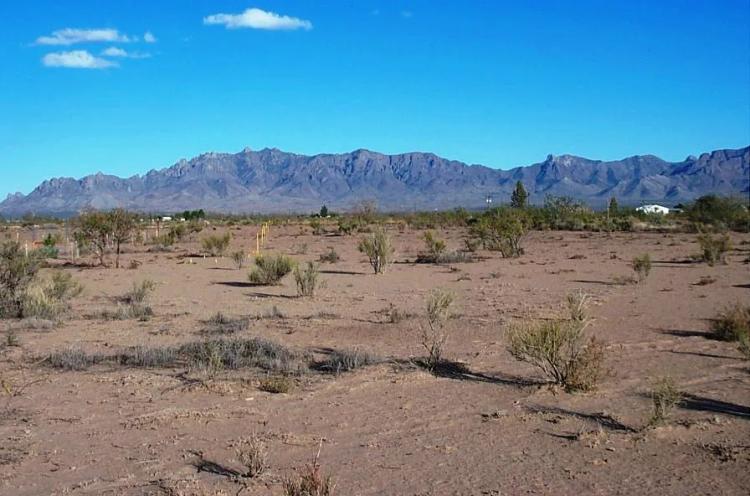 Buy 3 or 6 Residential lots - Southern New Mexico just off main road - Mobiles allowed