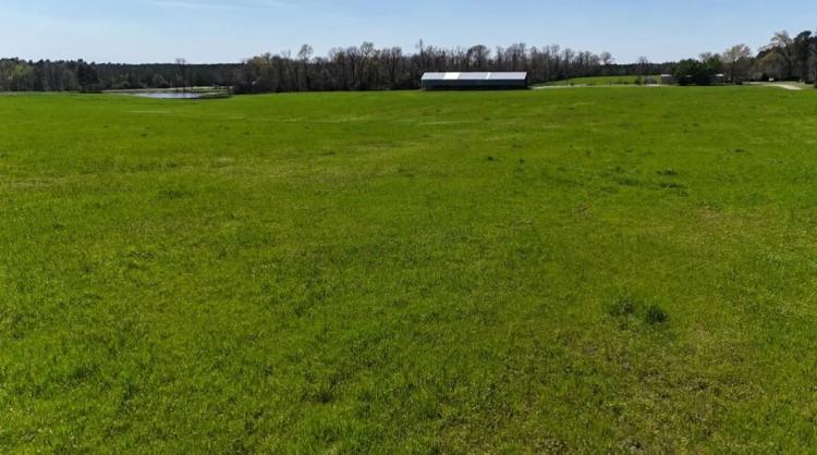 33 Acres Pastureland For Sale Union Parish