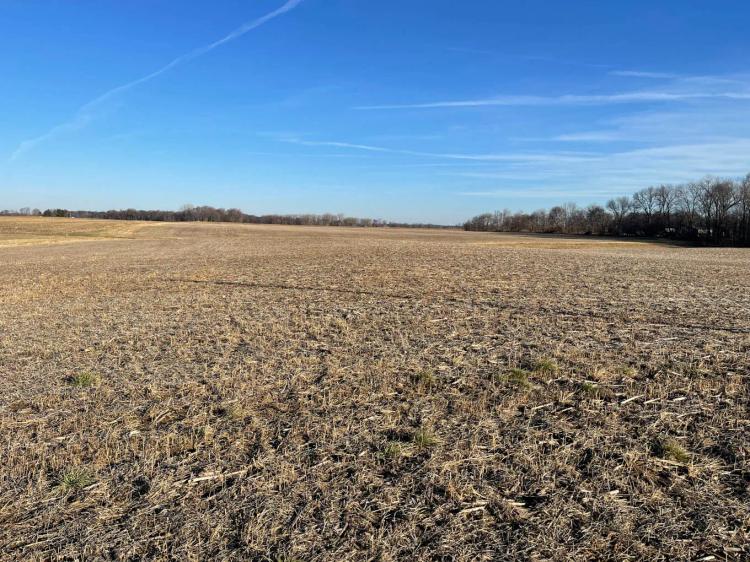 Menard County, Illinois 18.5 Acres For Sale(SALE PENDING)