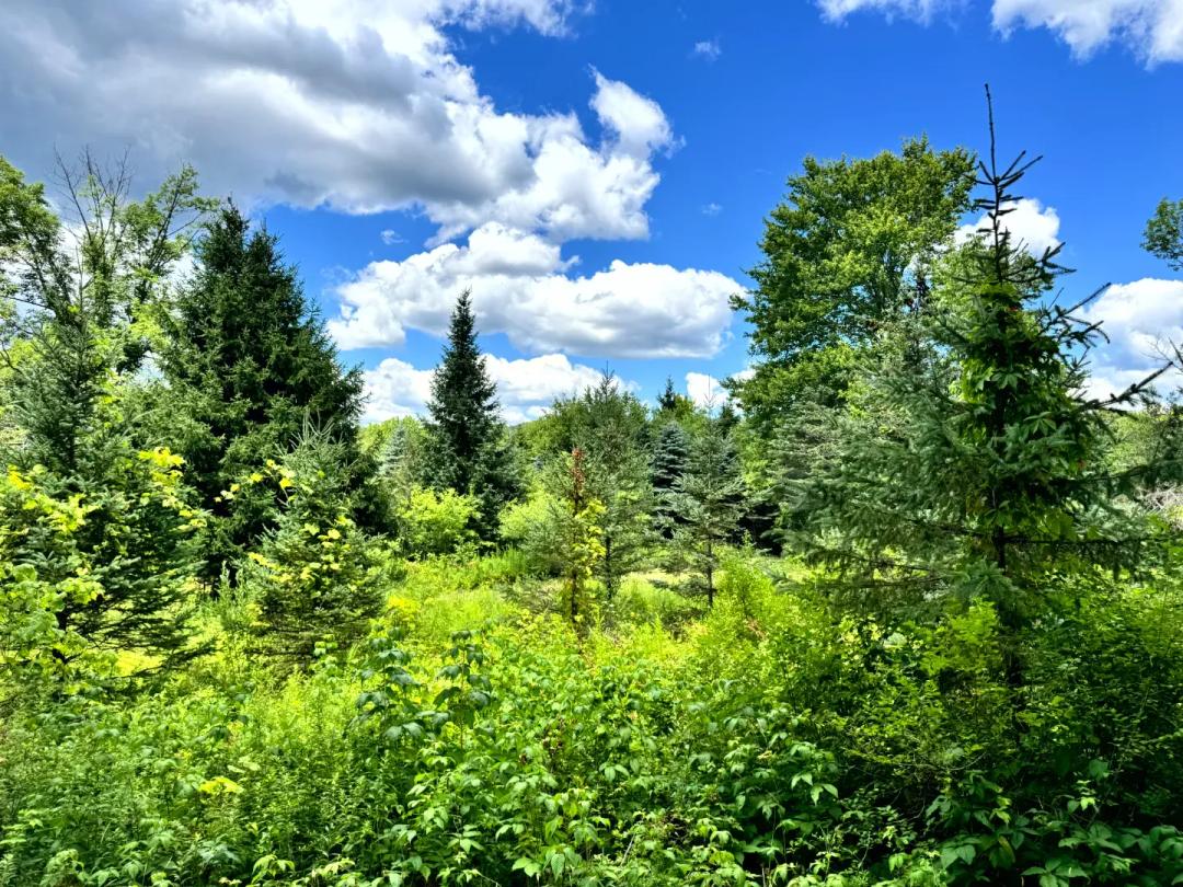 Brookside Ridge