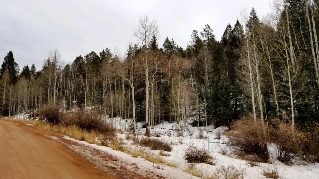 Outstanding views Sloping Parcel with Lots of Trees - Fronts 2 roads