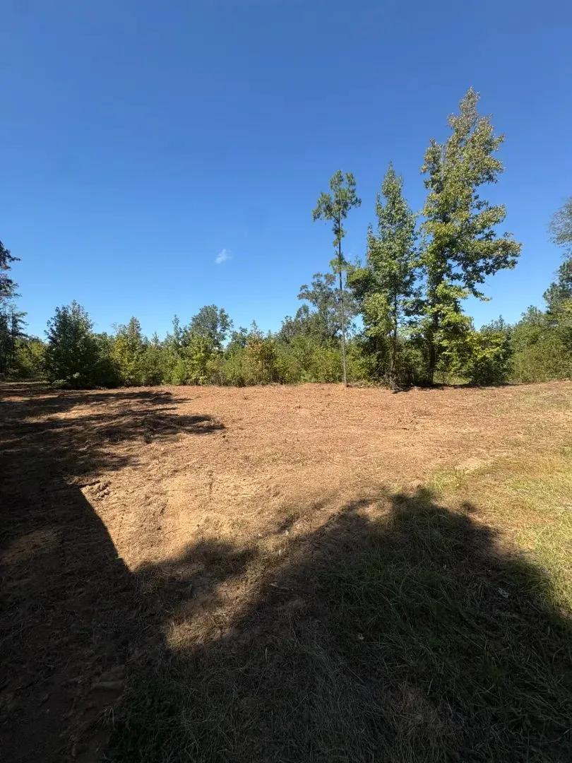 56 Acres in Kemper County, MS 