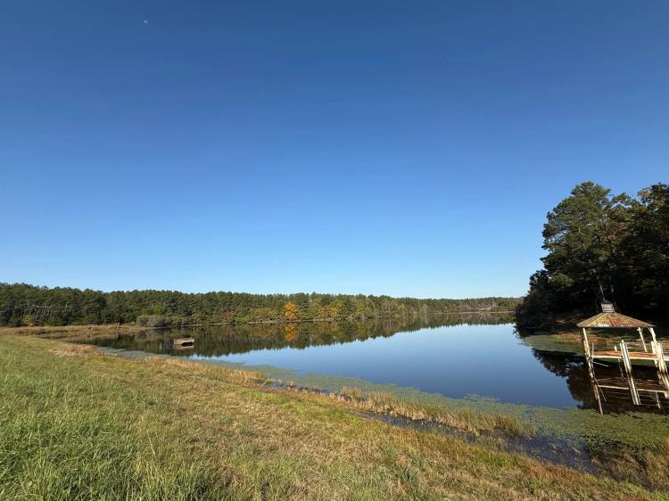 1,278.95 Acres in Lafayette/Yalobusha Counties, MS 