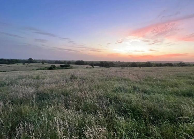 289 Acres To Build Your Dream Home