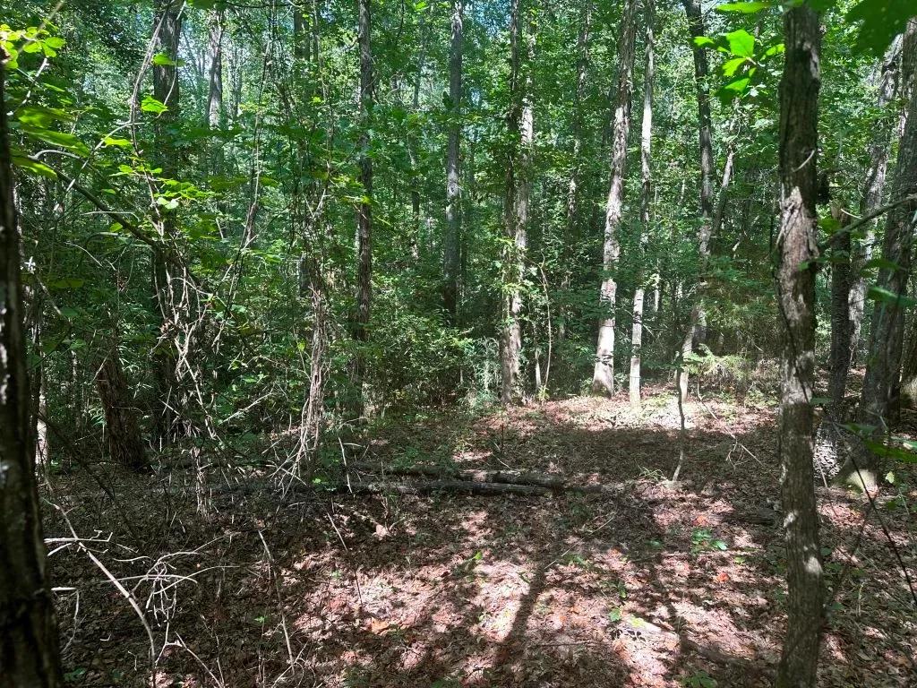 Corley Road