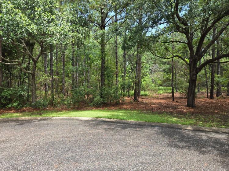 Online Auction | Homesite in Gated Community