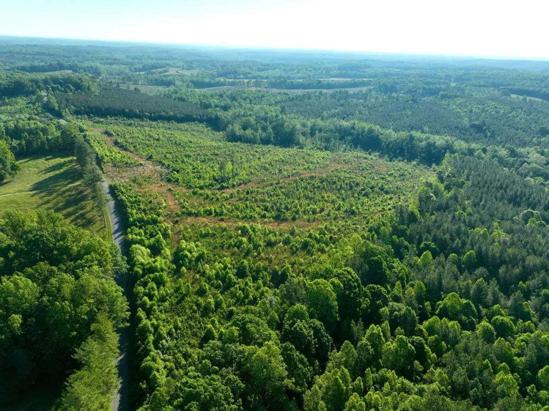 Hankins Tract