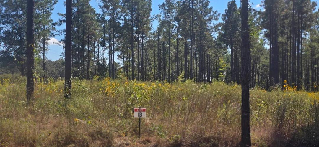 0.51 Acres at 013 Army Recreation Rd