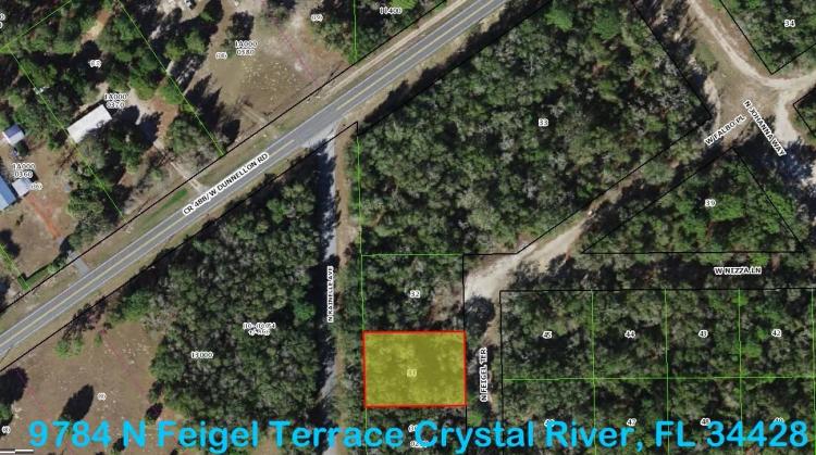 Side by Side Vacant Land in Crystal River, Florida = .64 Acre