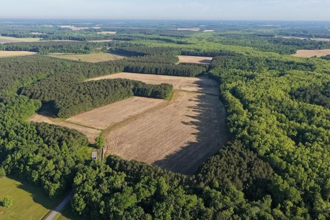 157 acres of Cropland & Timberland for Sale in Pitt County NC!