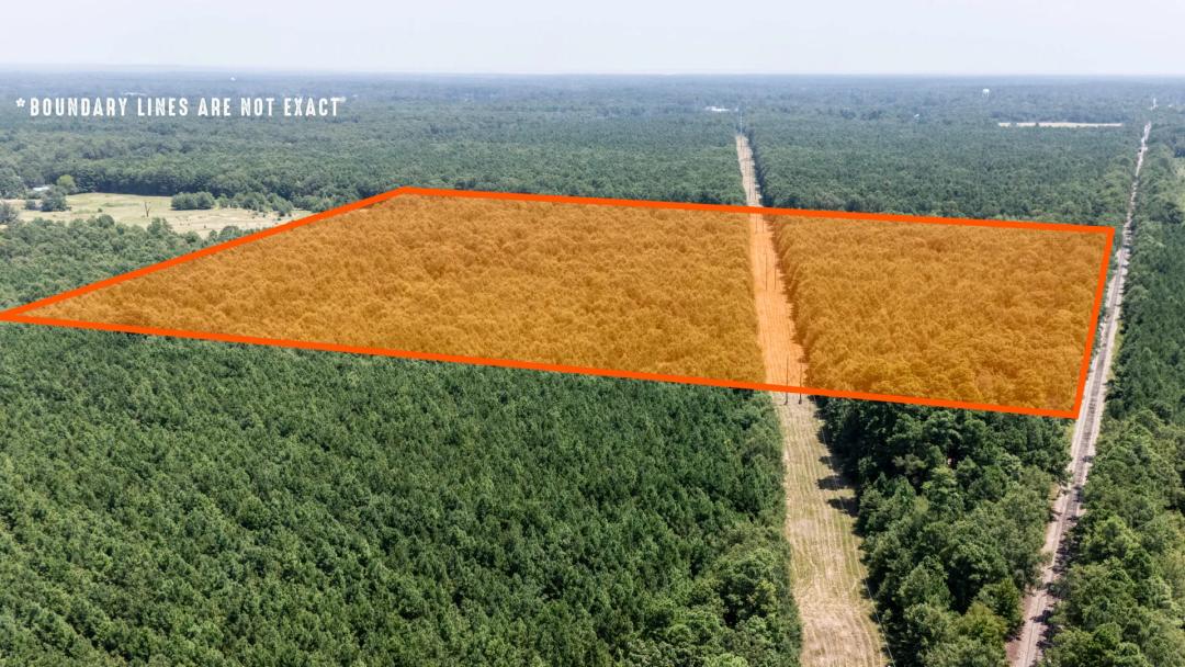 Little River County 40