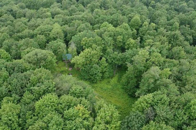 Cabin on 82 acres of Hunting Land in Rexville NY 1021 Lewis Rd