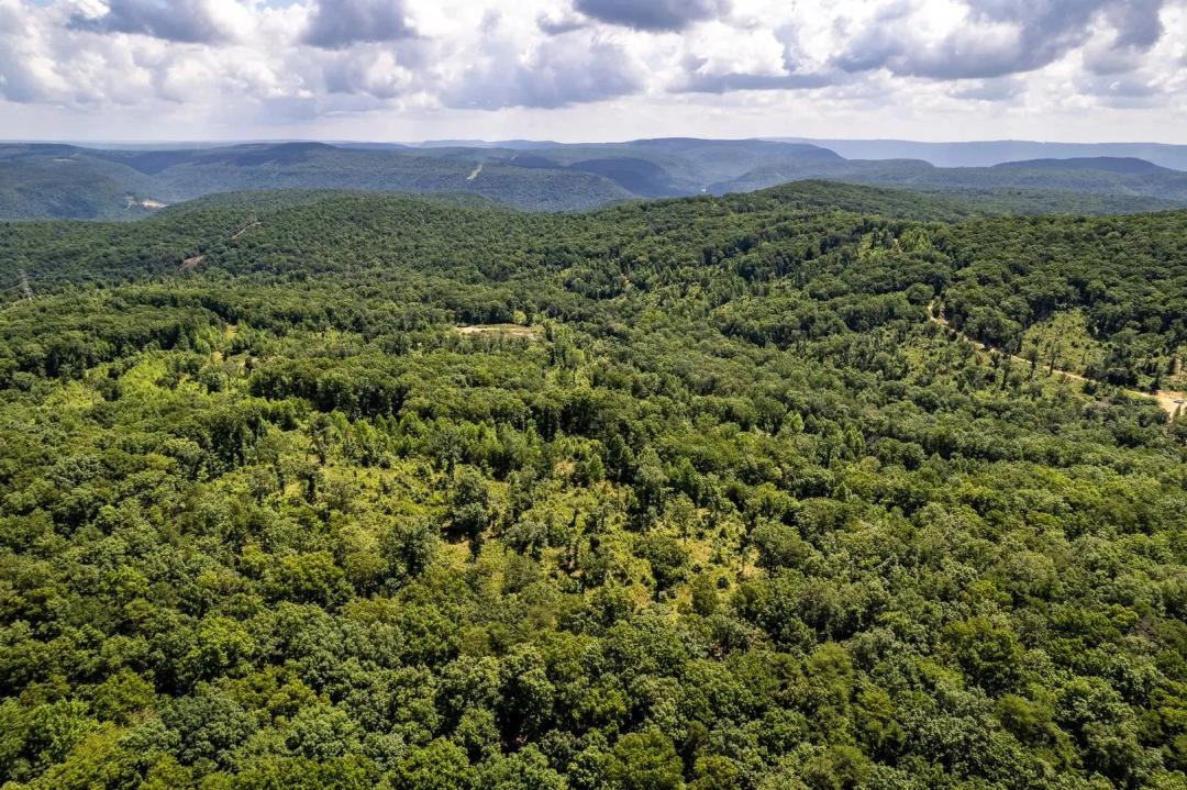 16.85± Acre Hunting & Recreational Tract | Dade County, GA