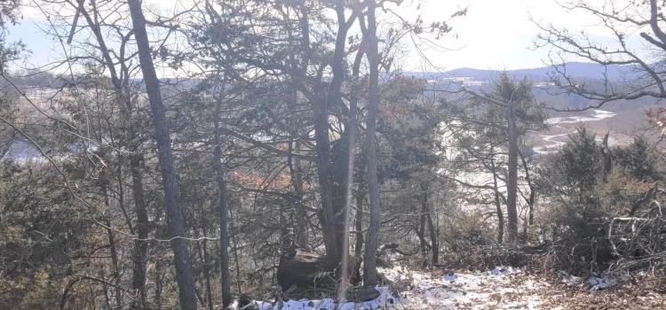 200 Acres of Development Land in Eureka Springs, Arkansas for Sale