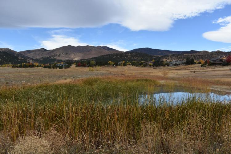 112+/- acres of ranch opportunity near Longmont, CO!