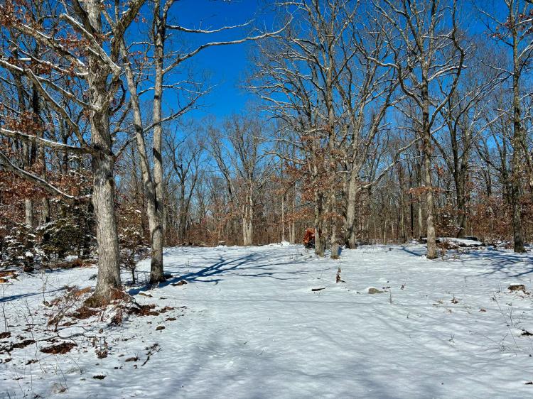 Great 7.6 +/- Acres With New Well In St. Clair County