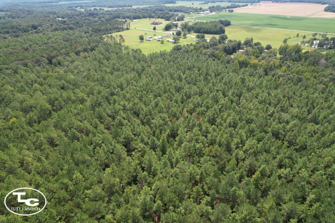 82 +/- Acres - Escambia County - Century Hunting Tract