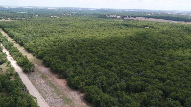 10 Acres in Milam County