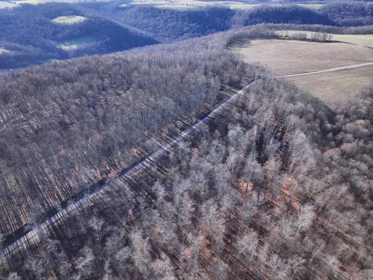Wooded lots near Yough Lake. Build your dream home or getaway.