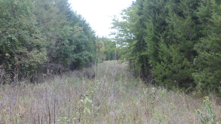 Land For Sale in Emberson Woods Sumner TX