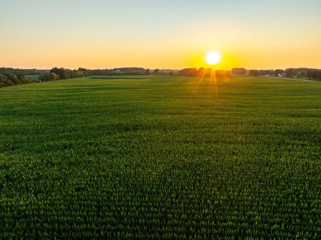 Listing #19571 - 606.31 acres in Dane County, WI