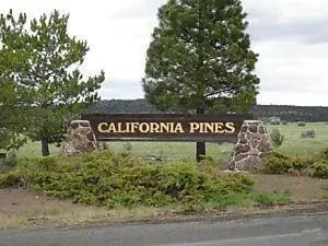 #L05055-1 1.25 Acres in California Pines, Modoc CA $5,899.00