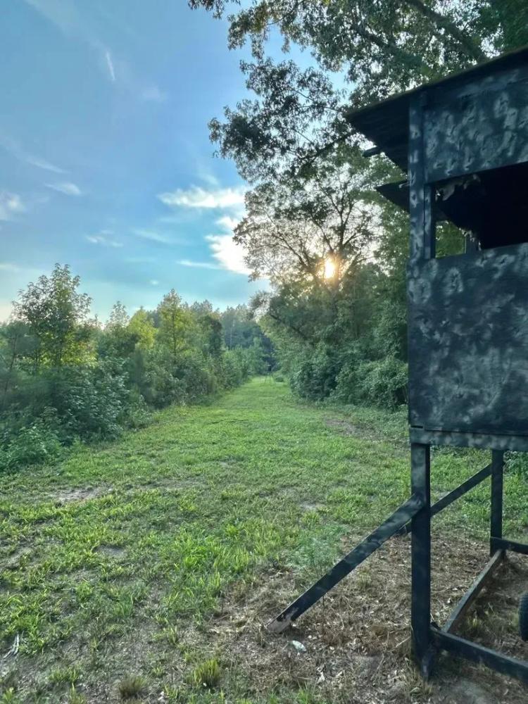 75 Acres in Treutlen County, Georgia