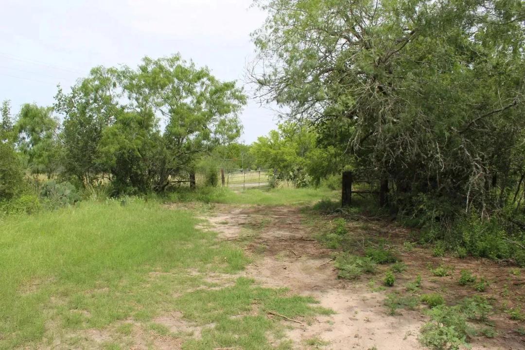 Affordable South Texas Homesite with Owner Financing Available