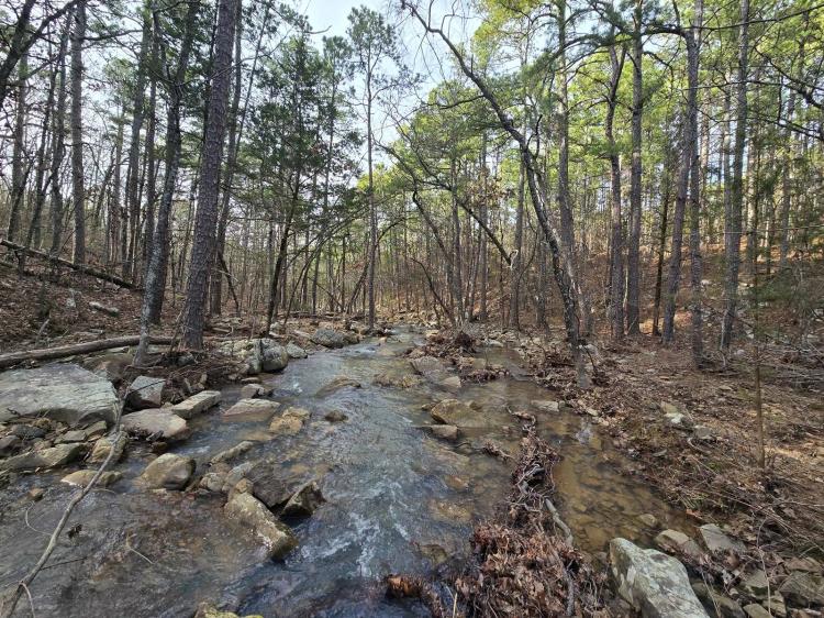 21 Acre Off Grid Property - Creek Frontage