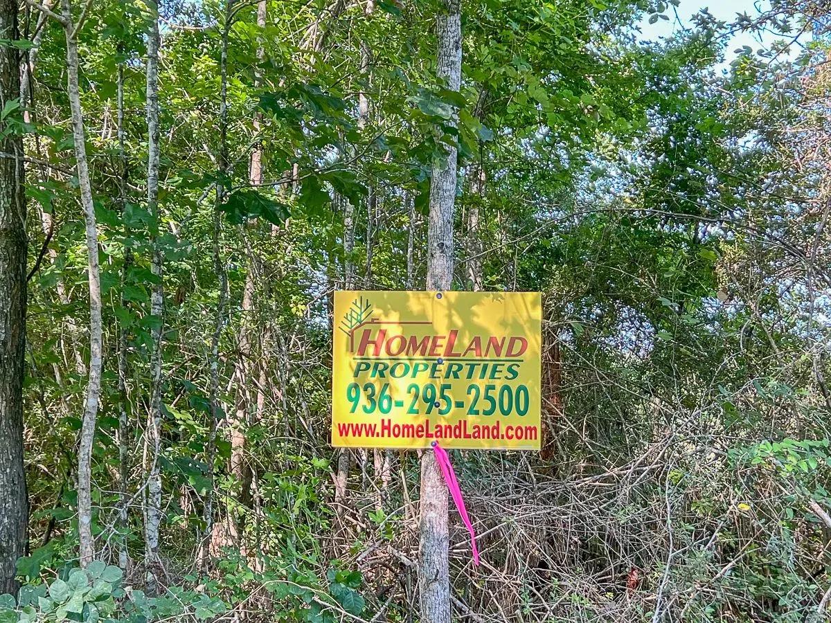 81956502-9