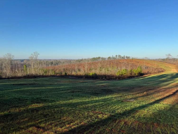 77 +/- Acres, Five Points, Chambers County, AL
