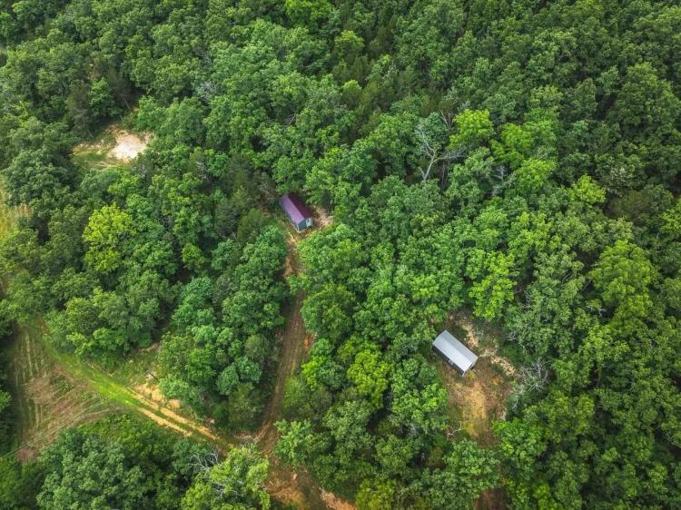 Rental cabins or Family Compound in Cook Station Mo