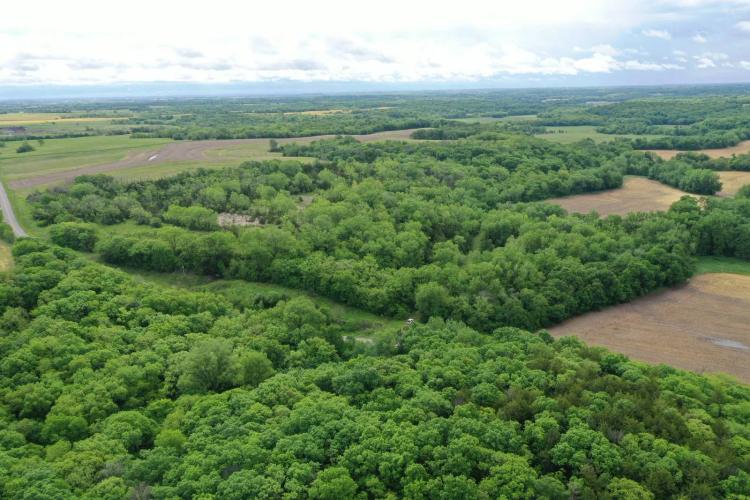 37 Acres m/l - Prime Hunting Tract in Northwest Missouri