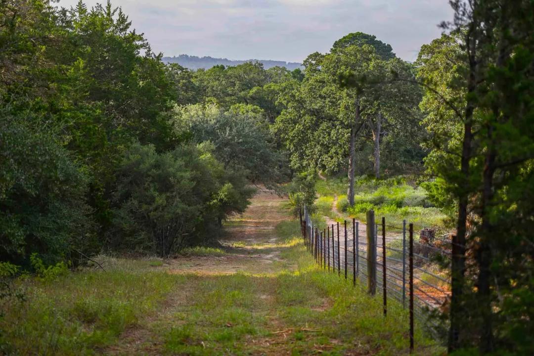 Private Pine Woods in Paige