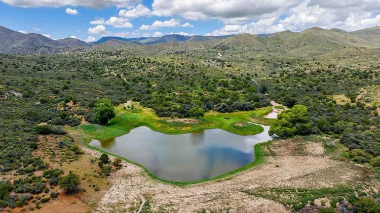 Turkey Creek Ranch 