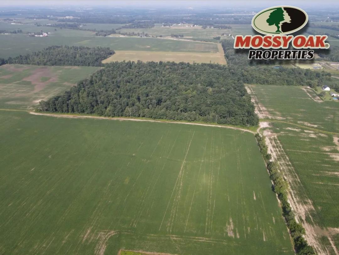 41.50 ACRES - Albany, IN - Delware County - Hunting Land- Timber - Land for Sale