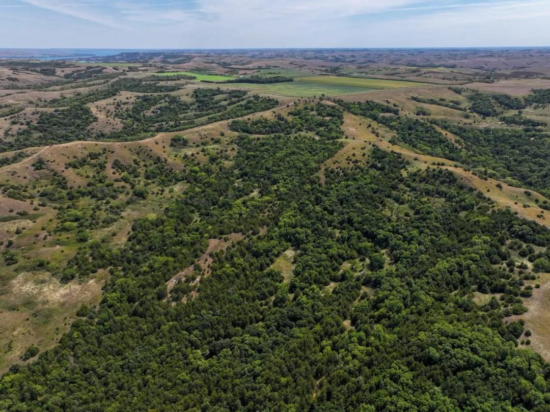 Gregory County, SD 200 Acres