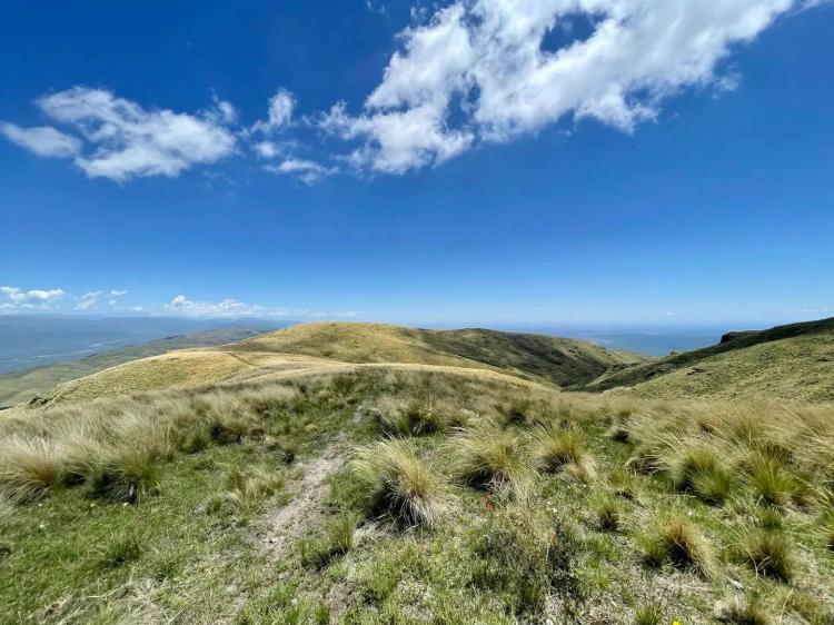 Catamarca Hunting Ranch 