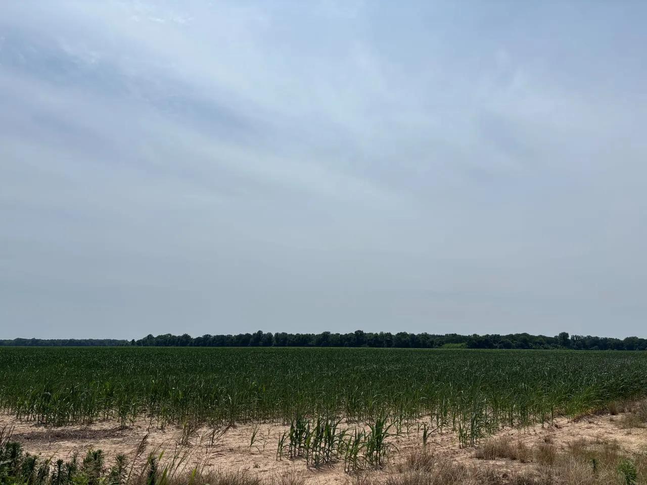 82137594-9