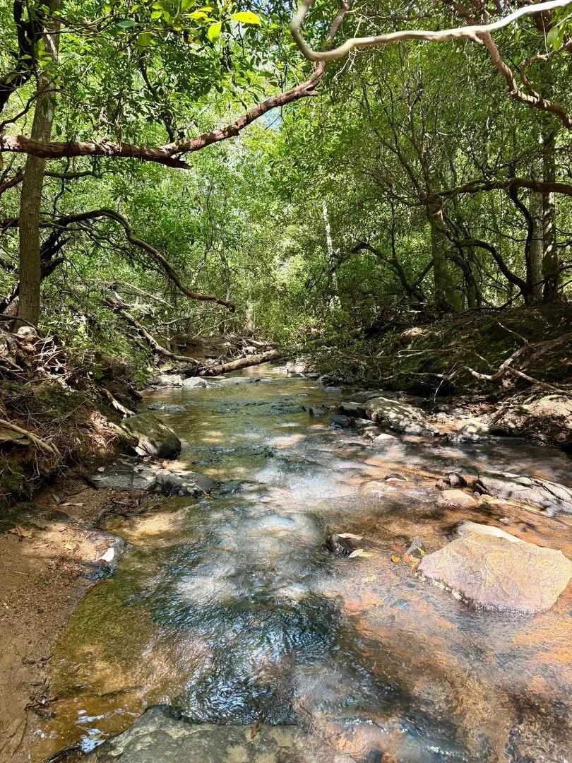 11.68 acres on Metcalf Creek