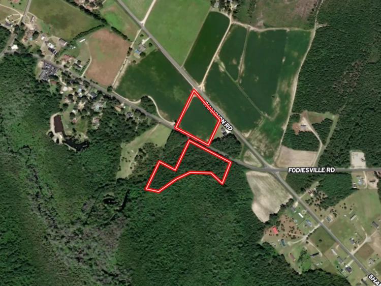 9.63 acres of Timberland and Farm Land For Sale in Robeson County NC!