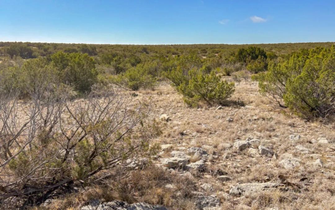  44+/- Acre Ranch for Sale in Val Verde County, TX