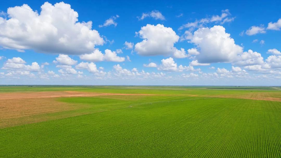 Gaines County Farm