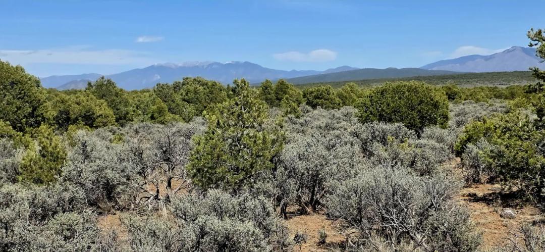 Scenic Taos County New Mexico - off the beaten path Trees Distant Mountain views