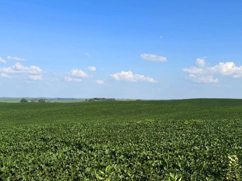 160 Acres, Cedar County Dryland