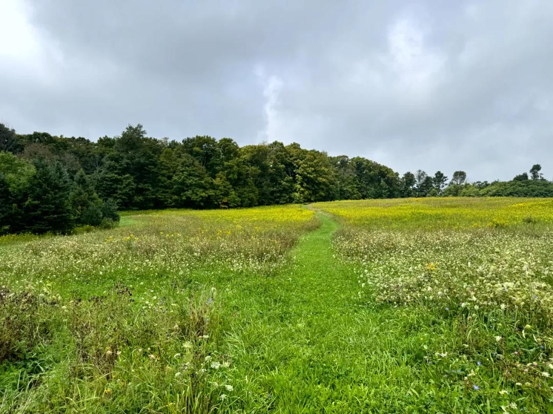 Richford Valley Views