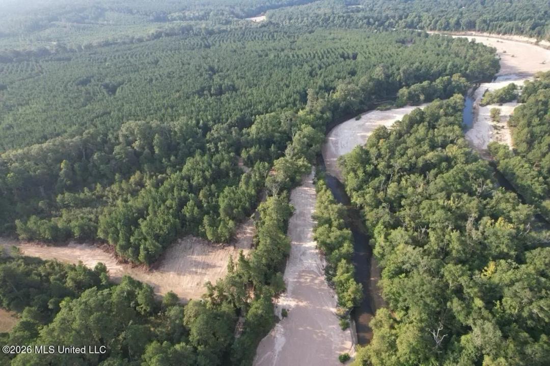 80± Acre Riverfront Hunting Land Near Meadville, MS