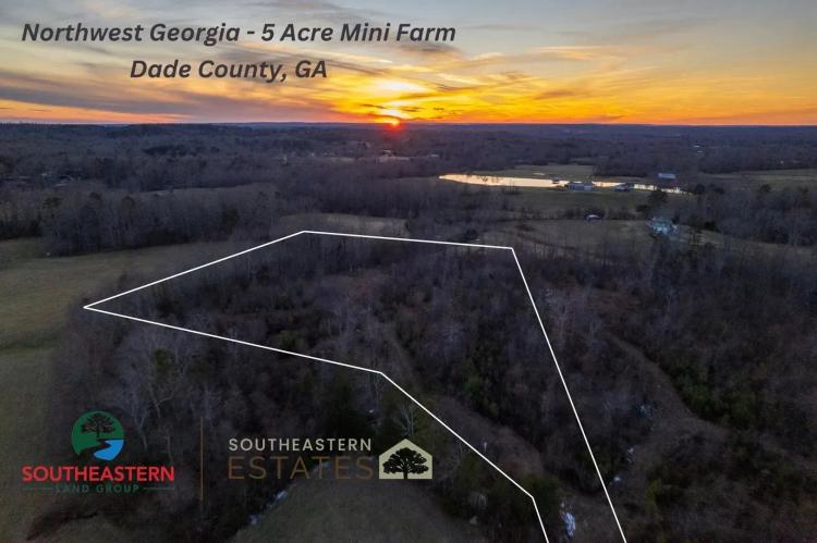 5 Acre Mini Farm