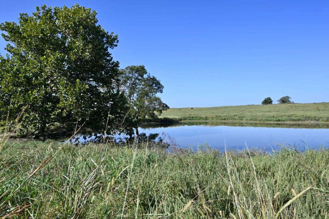 Holdenville Homestead 