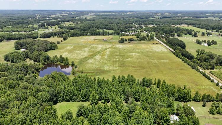 ABSOLUTE AUCTION| WHITE COUNTY | 67+/- ACRES| Wilson Auctioneers